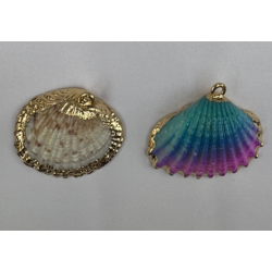 ACCESORIO DE CONCHA