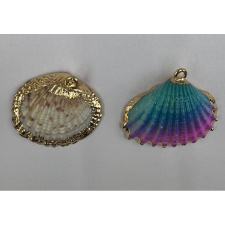 ACCESORIO DE CONCHA
