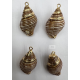 ACCESORIO DE CONCHA