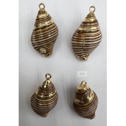 ACCESORIO DE CONCHA