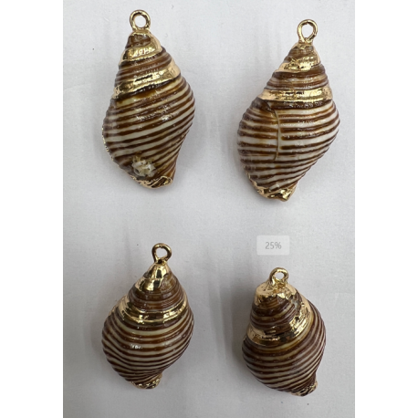 ACCESORIO DE CONCHA