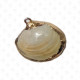 ACCESORIO DE CONCHA