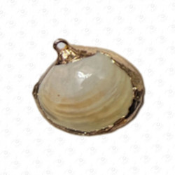 ACCESORIO DE CONCHA
