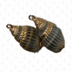 ACCESORIO DE CONCHA