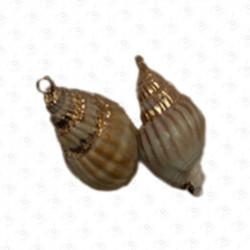 ACCESORIO DE CONCHA