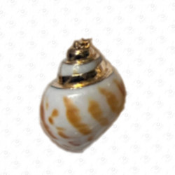 ACCESORIO DE CONCHA