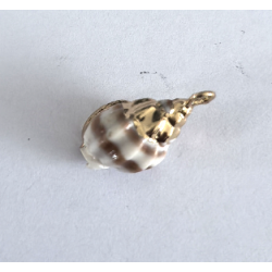 ACCESORIO DE CONCHA