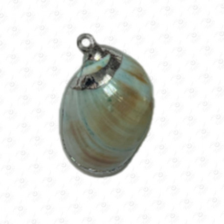 ACCESORIO DE CONCHA ACCESORIO DE CONCHA