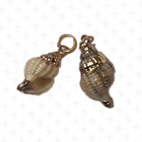 ACCESORIO DE CONCHA