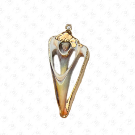 ACCESORIO DE CONCHA