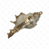 ACCESORIO DE CONCHA